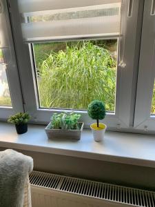 Apartament Joanna parter blisko Onkologii