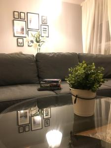 EUROPA22 Apartament z JACUZZI w samym sercu miasta - balkon z widokiem na park i fontanny Zameldowanie od 13 Blisko Areny Lodowej