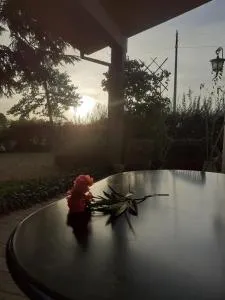 Apartament Cedro del Libano - Quarto Inferiore