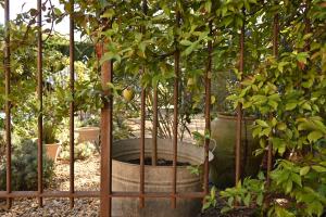 Maisons de vacances Bastide le Petit Clos - les 2 Gites : photos des chambres