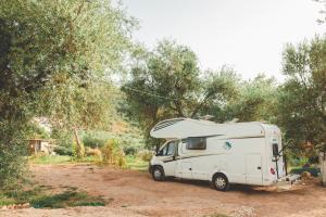Olive Camping