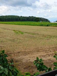 DOMEK LETNISKOWY PRZY GÓRACH MAJOWYCH