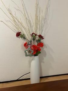 Housegreen201