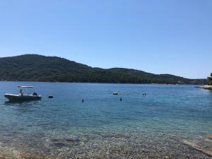 Holiday Home Island View - Tudorovica