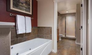 Wyndham Steamboat Springs 2 BR
