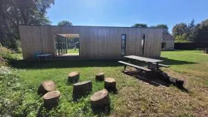 Bonte schaap - Uddel