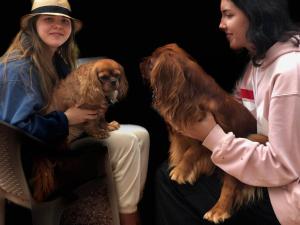 Castle To Find Yourself