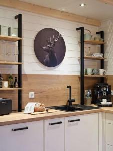 Chalet in Köln - Tinyhouse