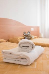 Sweet Balcony - Campo S.Giacomo dellOrio