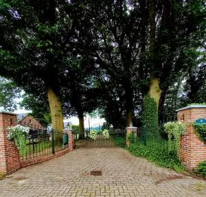 mooie familie groepsaccomodatie aan de bosrand - Heikant