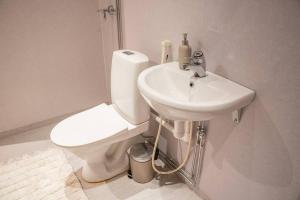 Arctic Downtown Dream: Cozy City Studio