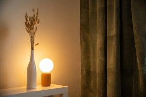 Arctic Downtown Dream: Cozy City Studio