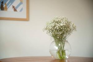 Arctic Vintage Oasis: Unique City Studio