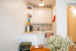 Arctic Vintage Oasis: Unique City Studio