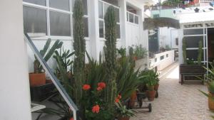 Casa Zuniga B&B
