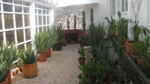 Casa Zuniga B&B