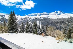 Studio Cabine Sud, centre de Flaine, linge et menage compris