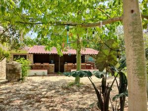 Hotel y Museo Aldea Maya Toktli Orígenes -Village, Alberca, Wifi Starlink, Tour Museo