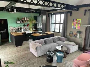 Loft sur les toits de Roubaix - 图尔昆