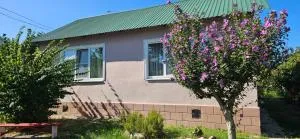 дом у бабы любы - Inkit