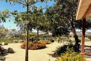 Hilltop Vineyard and Agave Field with View - لوس أوليفوس