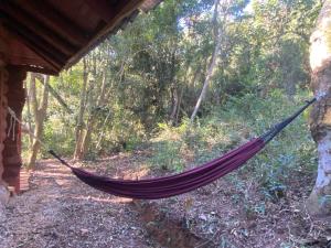 Cabana Dentro da Floresta- Chalés Perpétua Natureza