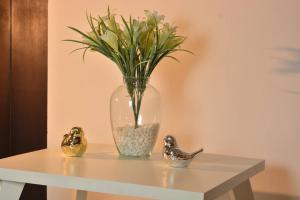 Calma en el centro de Popayán con mobiliario nuevo