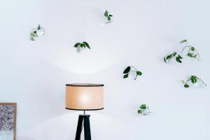 Grüne Wohnoase - stilvoll - Balkonidylle - Zentrum