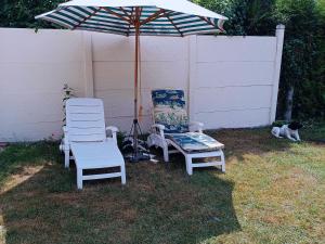 Gîte spacieux à 1h de Paris avec jardin et parking, proche Montargis et activités variées - FR-1-590-366