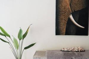 Sleepy Gypsea Villa Siargao - Private Room - Vanilla Sky