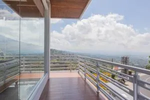 Lavender - Taman Tanda - Plaga