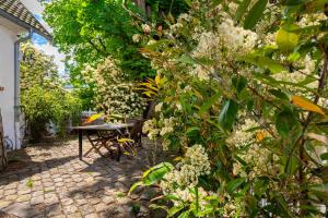 Appartements Modern Apartement Grand Paris, TV Salon, Sharing Garden, 15- to Eiffel : photos des chambres