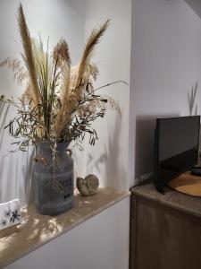 Appartements Maison de village entierement renovee avec gout : photos des chambres