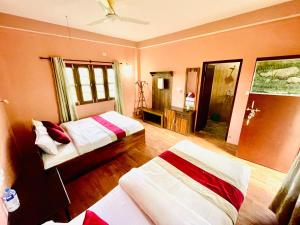 Hotel Tree Tops- A Serene Friendly Hotel in Sauraha