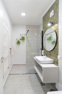 Studio no5 Green