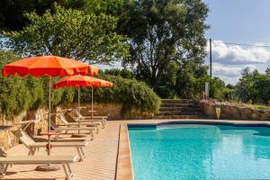 Il Cancellone - Riccio