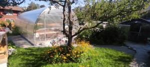 Bijou 1 Hübsche 1 Zimmer Wohnung