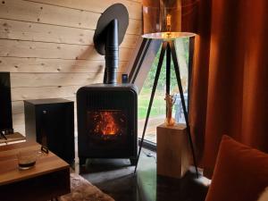 Chalets Les Deltas du Lac : photos des chambres