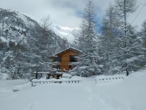 Appartements Gite l-esquirol : photos des chambres