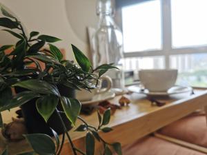 Una Serviced Apartment, Jalan Peel by Rverse Suite