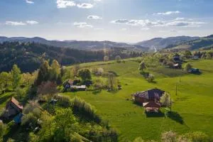 Aronija Zlatar - Radijevići