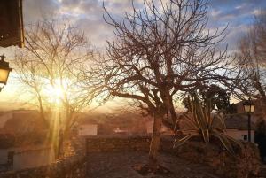 Las Cuevas del Albaicín