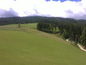 Ferienwohnung - Apartement - Hotel Klippitz Nordost