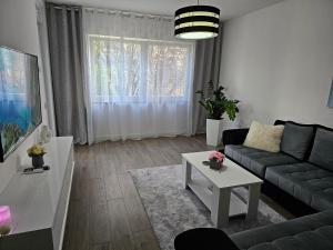 Apartman Aleksandra u strogom centru grada