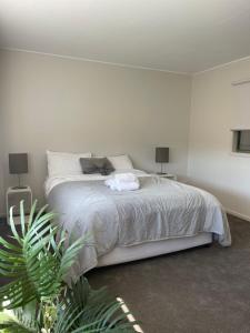 Surfcoast Equine Apartment