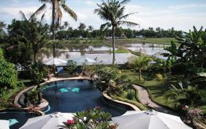 Sawah Lovina - 4hvězdičkové hotely ve městě Lovina