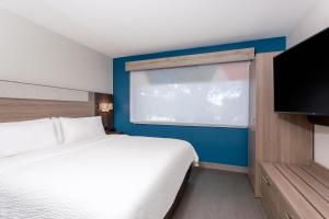 King Suite room in Holiday Inn Express Hotel Clearwater East - ICOT Center an IHG Hotel