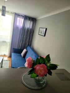 Apartament Centrum Jana Pawła II