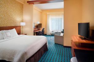 Executive King Suite with Sofa Bed room in Fairfield Inn & Suites by Marriott Hendersonville Flat Rock