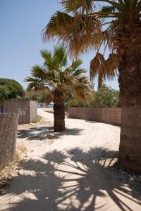 Beach House Antiparos Antiparos Greece